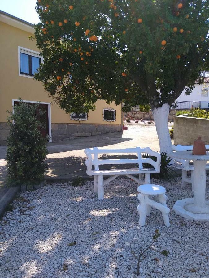 Casa Celeste Portugal 加亚新城 外观 照片
